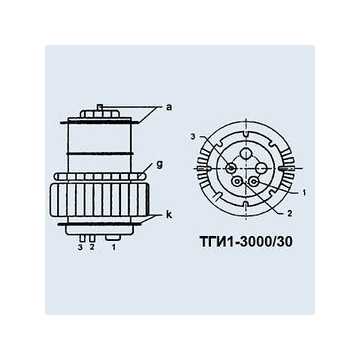 ТГИ1-3000/30